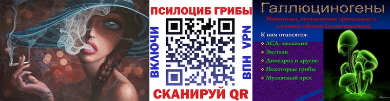 Псилоцибиновые грибы MAGIC MUSHROOMS  Артём 